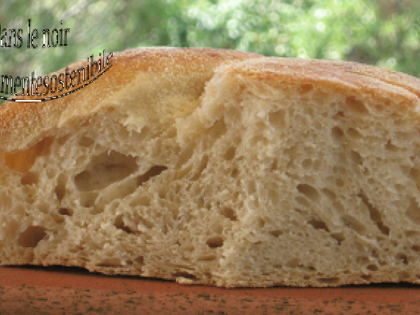 pane fatto in casa con lievito di birra - foto 5