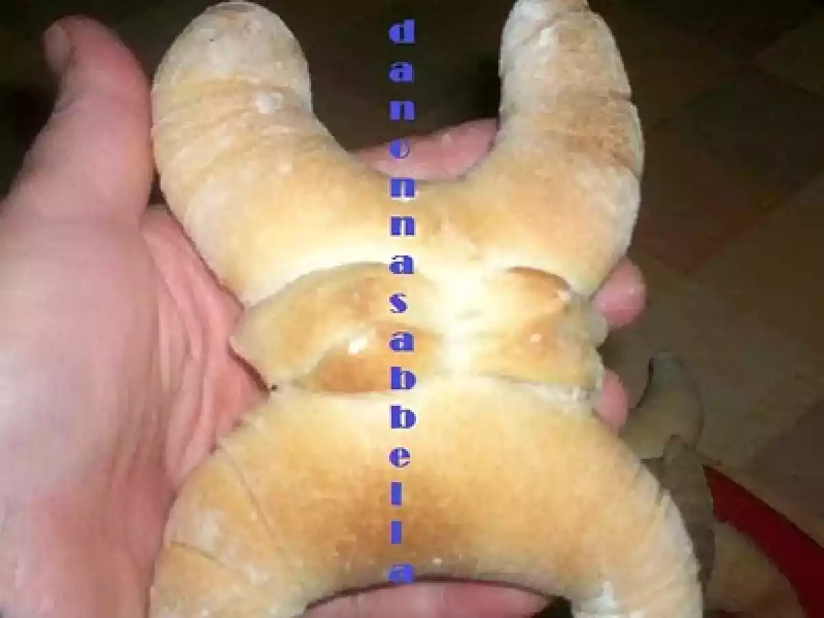 PANE FERRARESE CON LIEVITO NATURALE - foto 3