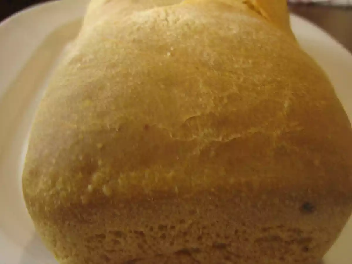 PANE IN CASSETTA CON RIPIENO PARTE SECONDA