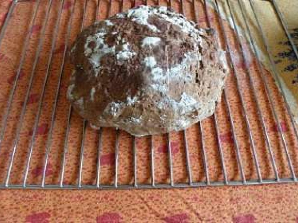 Pane integrale di farro e segale