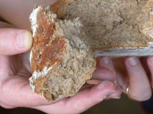 Pane integrale di farro e segale, foto 2