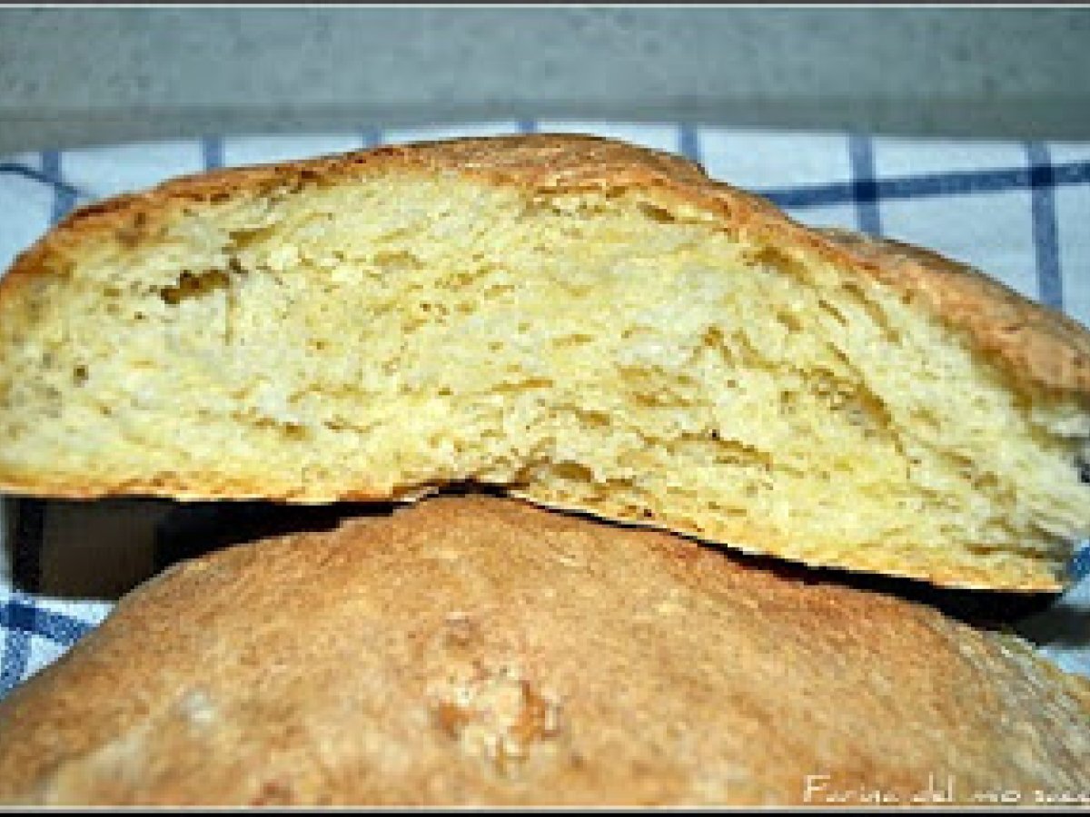 Pane pugliese (rapido) - foto 2