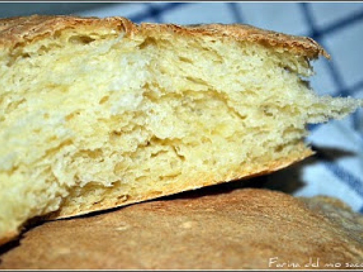 Pane pugliese (rapido) - foto 3