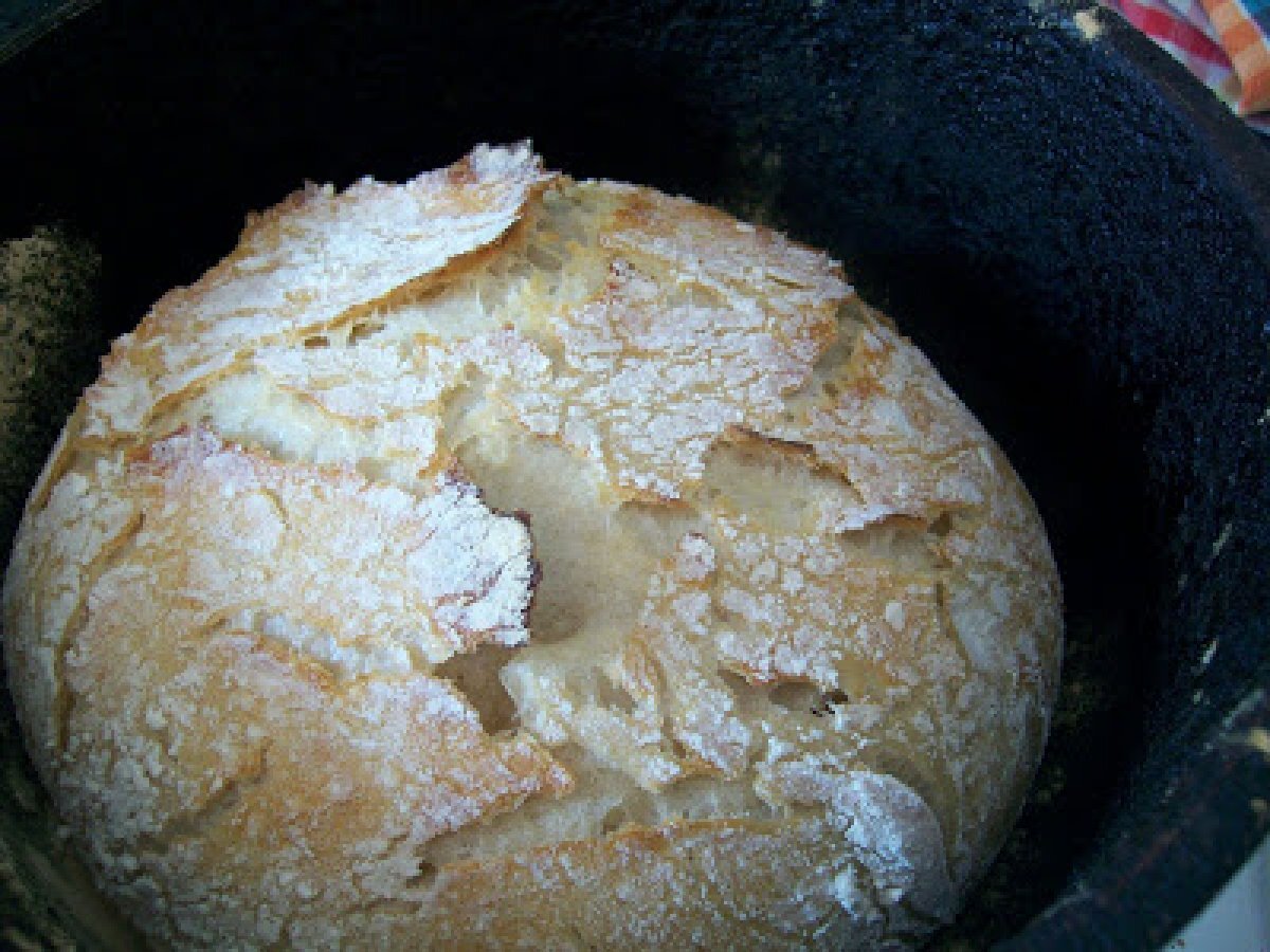 Pane senza impasto con lievito madre