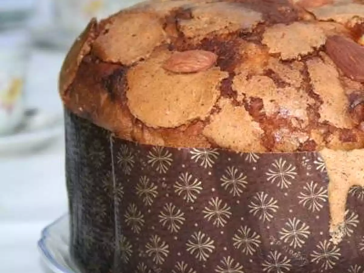 Panettone col Bimby: Tutte le Ricette per preparare il Panettone con il Bimby
