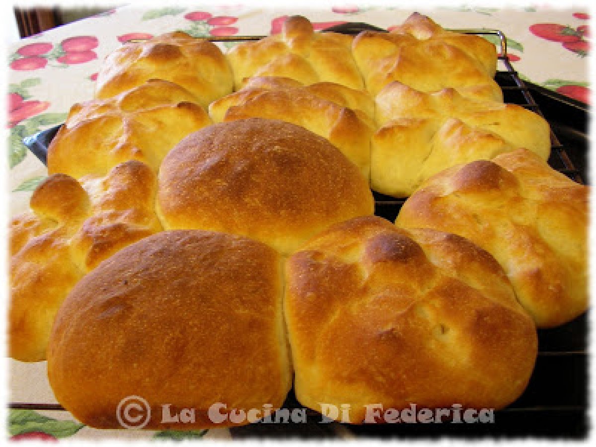 Panini con stracchino