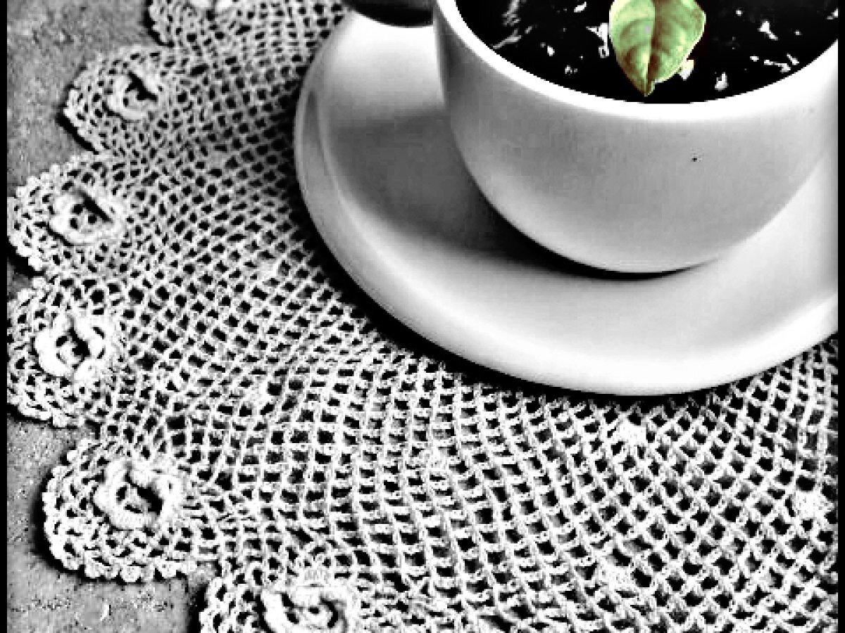 PANNA COTTA AL CIOCCOLATO CON SALSA DI MIRTILLI AL BASILICO