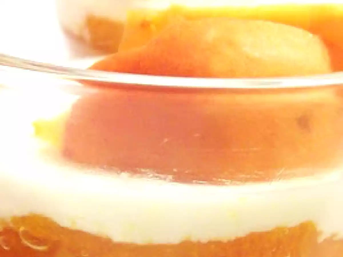 Panna cotta alle albicocche