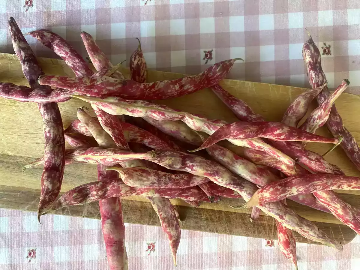 Pasta con i fagioli borlotti - foto 2
