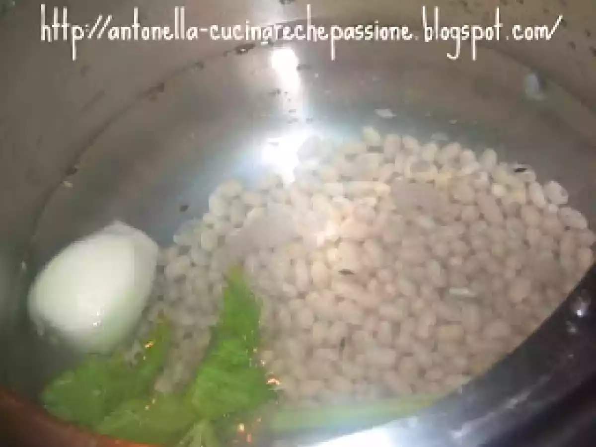 Pasta, fagioli del purgatorio e cavolo nero - foto 7