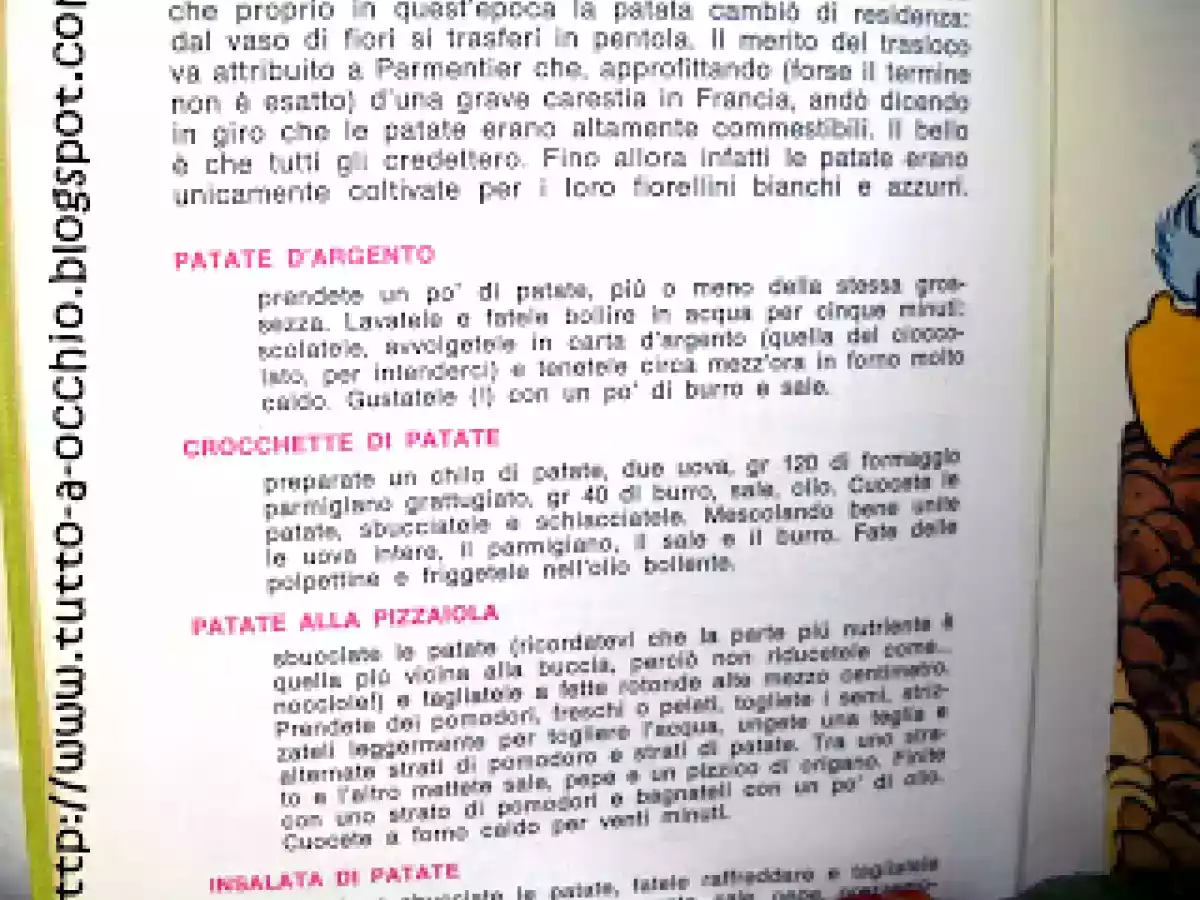 Patate alla pizzaiola - Dal Manuale di Nonna Papera - foto 3