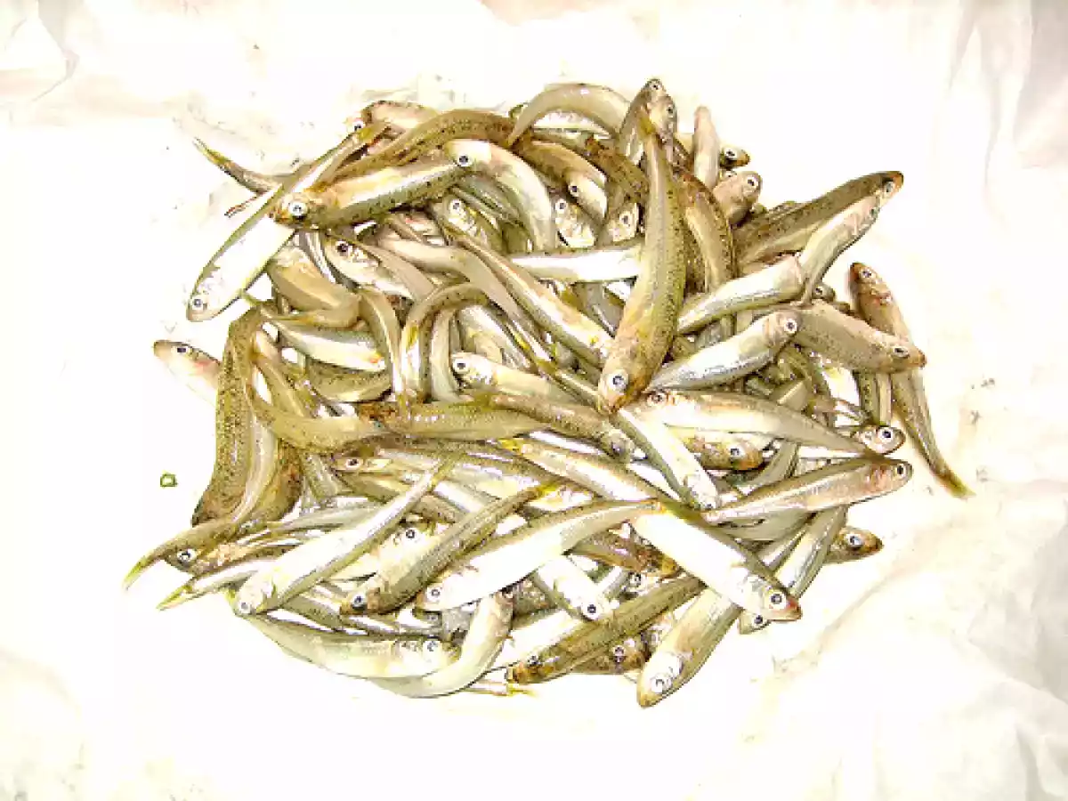 Pesciolini fritti - foto 2