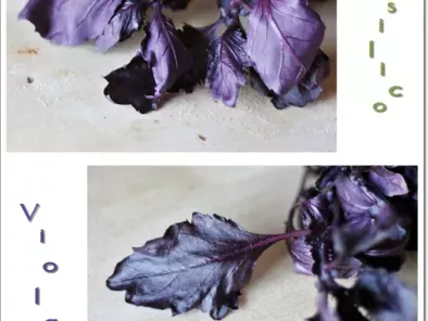 Pesto di basilico viola e nocciole, foto 2