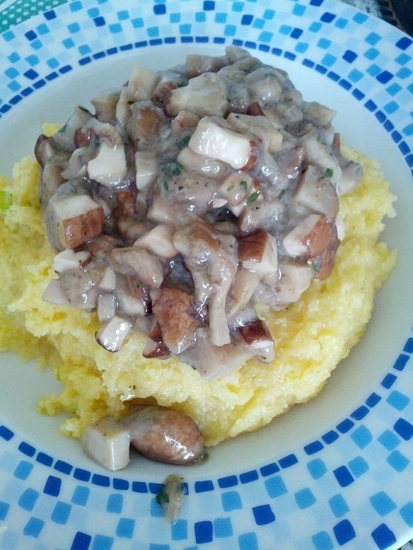 Polenta con funghi porcini Ricetta Petitchef