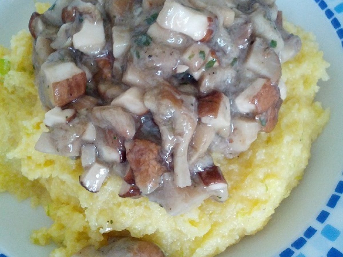 Polenta con funghi porcini
