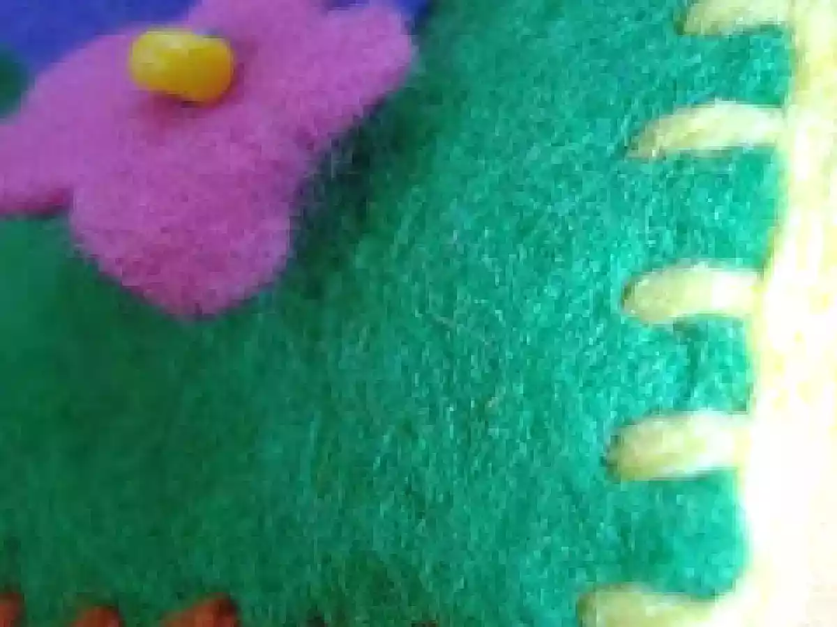 Pollo ai datteri e bustine di pannolenci - foto 3