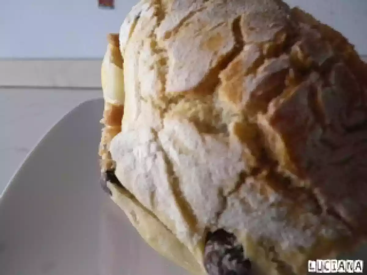 PUCCIA DELLA VIGILIA DELL'IMMACOLATA - foto 2