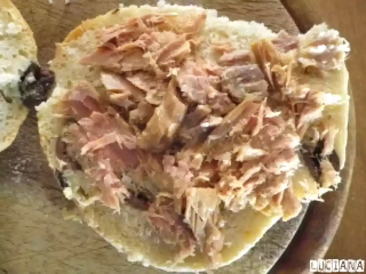 PUCCIA DELLA VIGILIA DELL'IMMACOLATA - foto 3