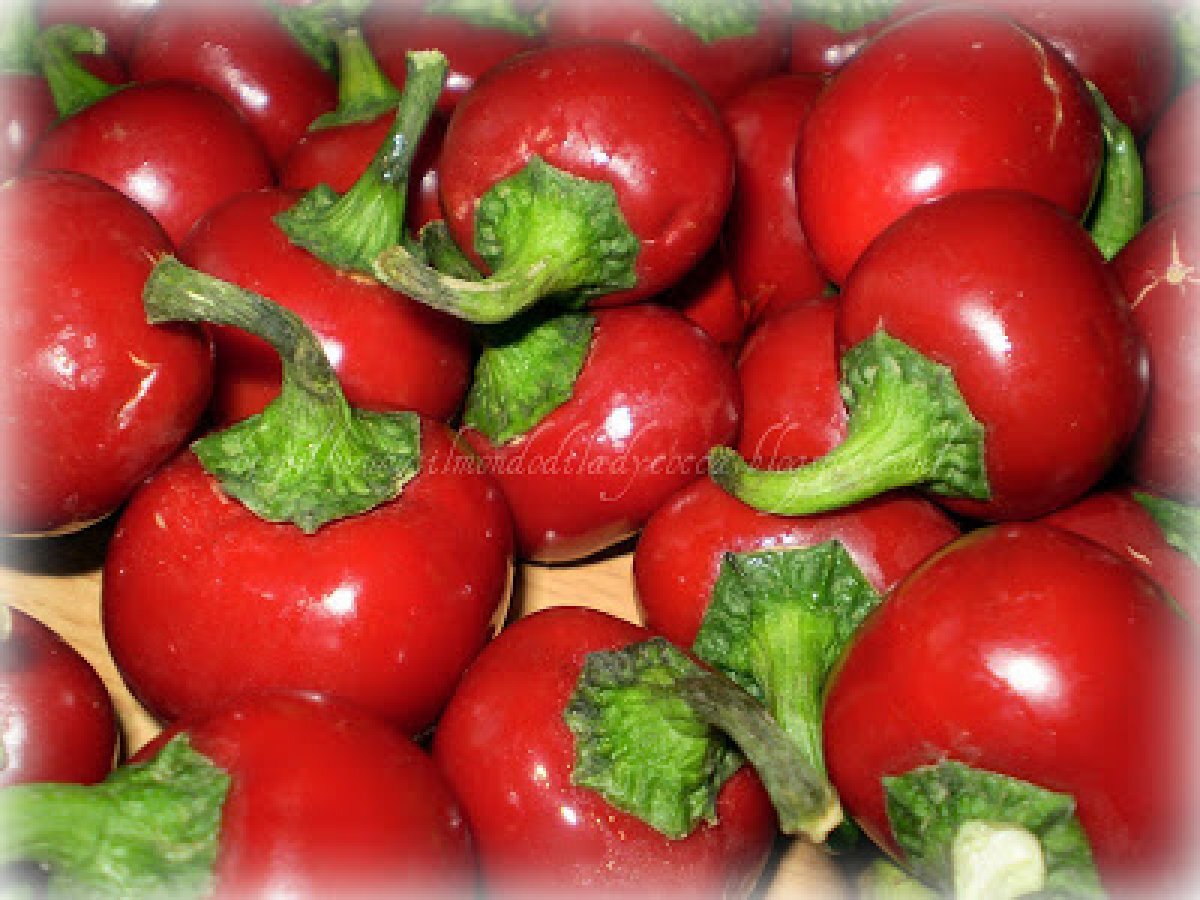 PUPACCHIELLI PICCANTI RIPIENI ( Peperoncini piccanti ripieni ), foto 5