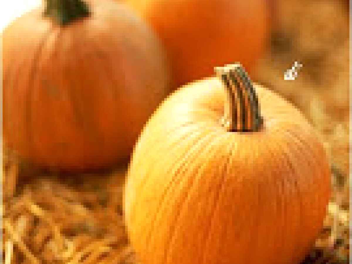 Ravioli di zucca su fonduta di gorgonzola, noci sbriciolate e pepe nero ... e una vincita!, foto 5