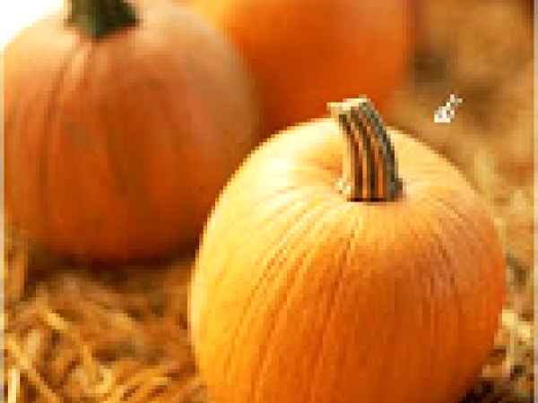 Ravioli di zucca su fonduta di gorgonzola, noci sbriciolate e pepe nero ... e una vincita!, foto 5