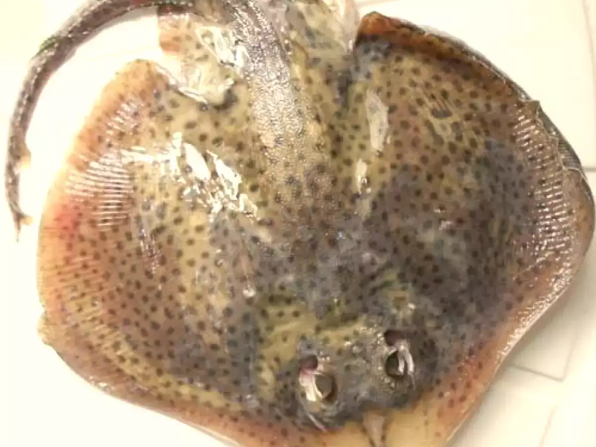 Razza alla palermitana in umido: la ricetta siciliana con pomodoro, capperi e vino bianco - foto 3