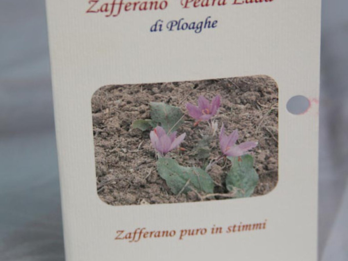 RISO CON ZAFFERANO SARDO E FONDUTA DI PECORINO di Dolcipensieri, foto 3