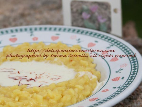 RISO CON ZAFFERANO SARDO E FONDUTA DI PECORINO di Dolcipensieri