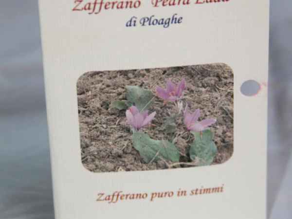 RISO CON ZAFFERANO SARDO E FONDUTA DI PECORINO di Dolcipensieri, foto 3