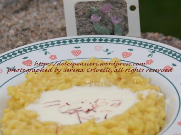 RISO CON ZAFFERANO SARDO E FONDUTA DI PECORINO di Dolcipensieri, foto 4