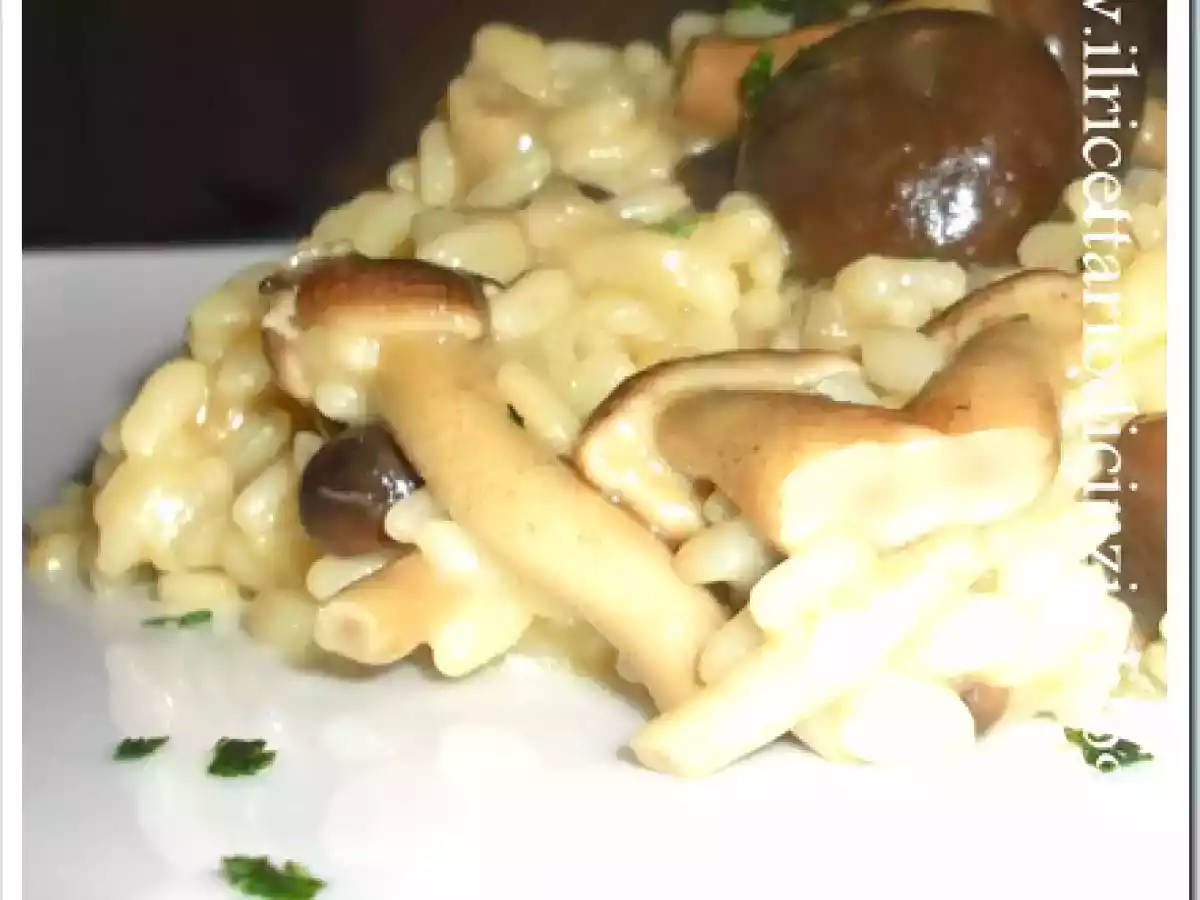 Risotto ai funghi chiodini con lo spumante rosé
