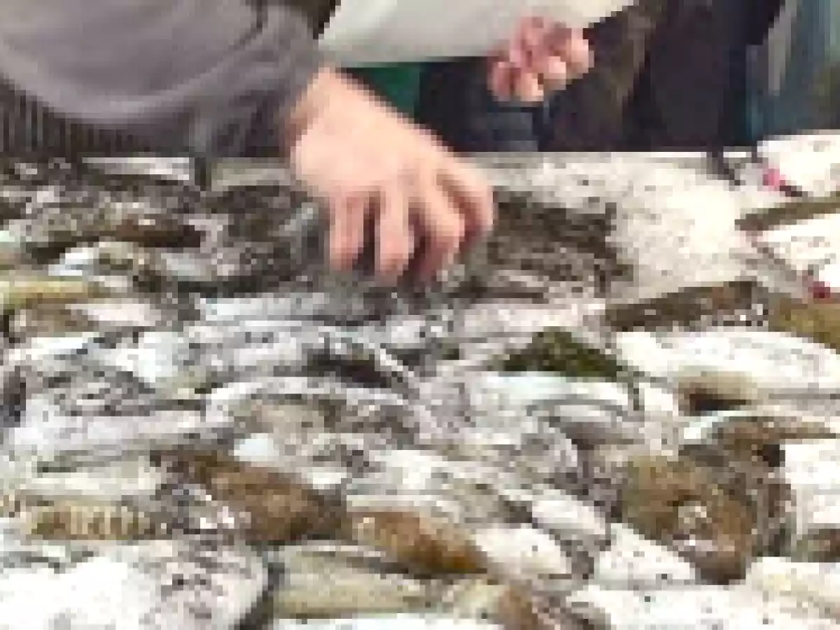 Risotto al nero di seppia dell'Antica Osteria Giorgione (Venezia) - foto 2