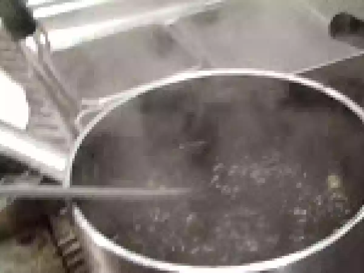 Risotto al nero di seppia dell'Antica Osteria Giorgione (Venezia) - foto 7