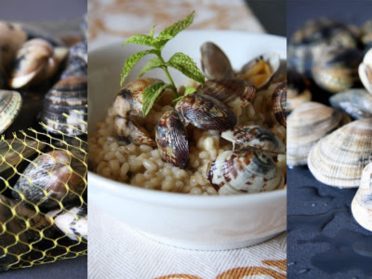 Risotto d'orzo con vongole e menta