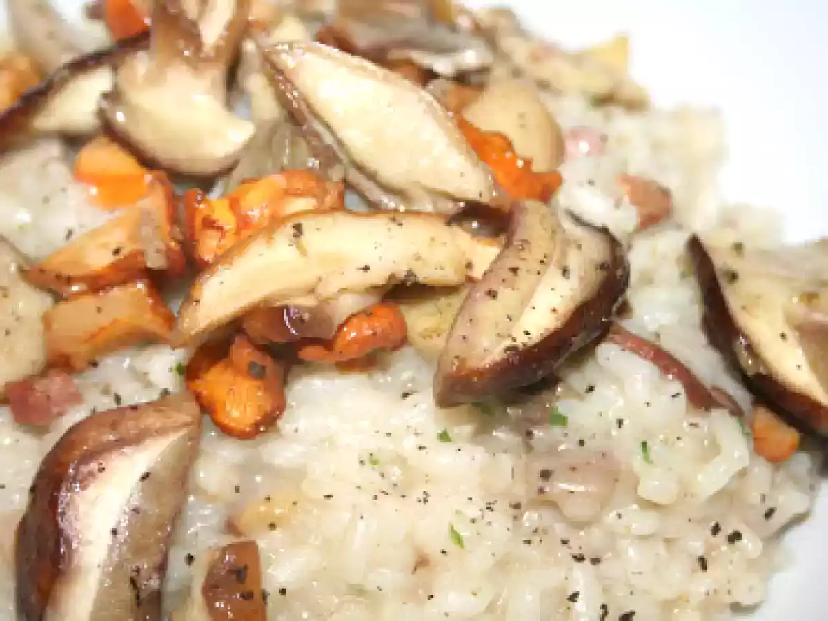 Risotto porcini e finferli