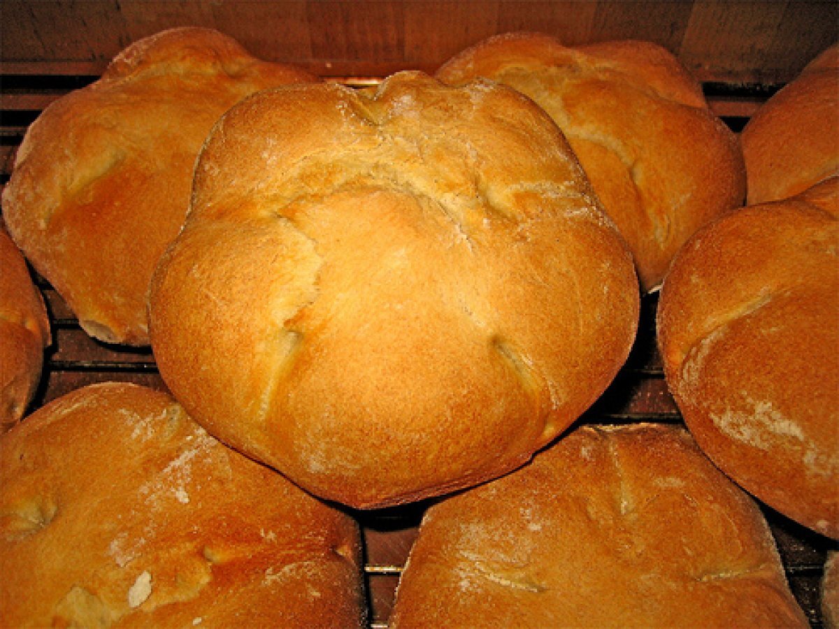 Rosette di grano duro