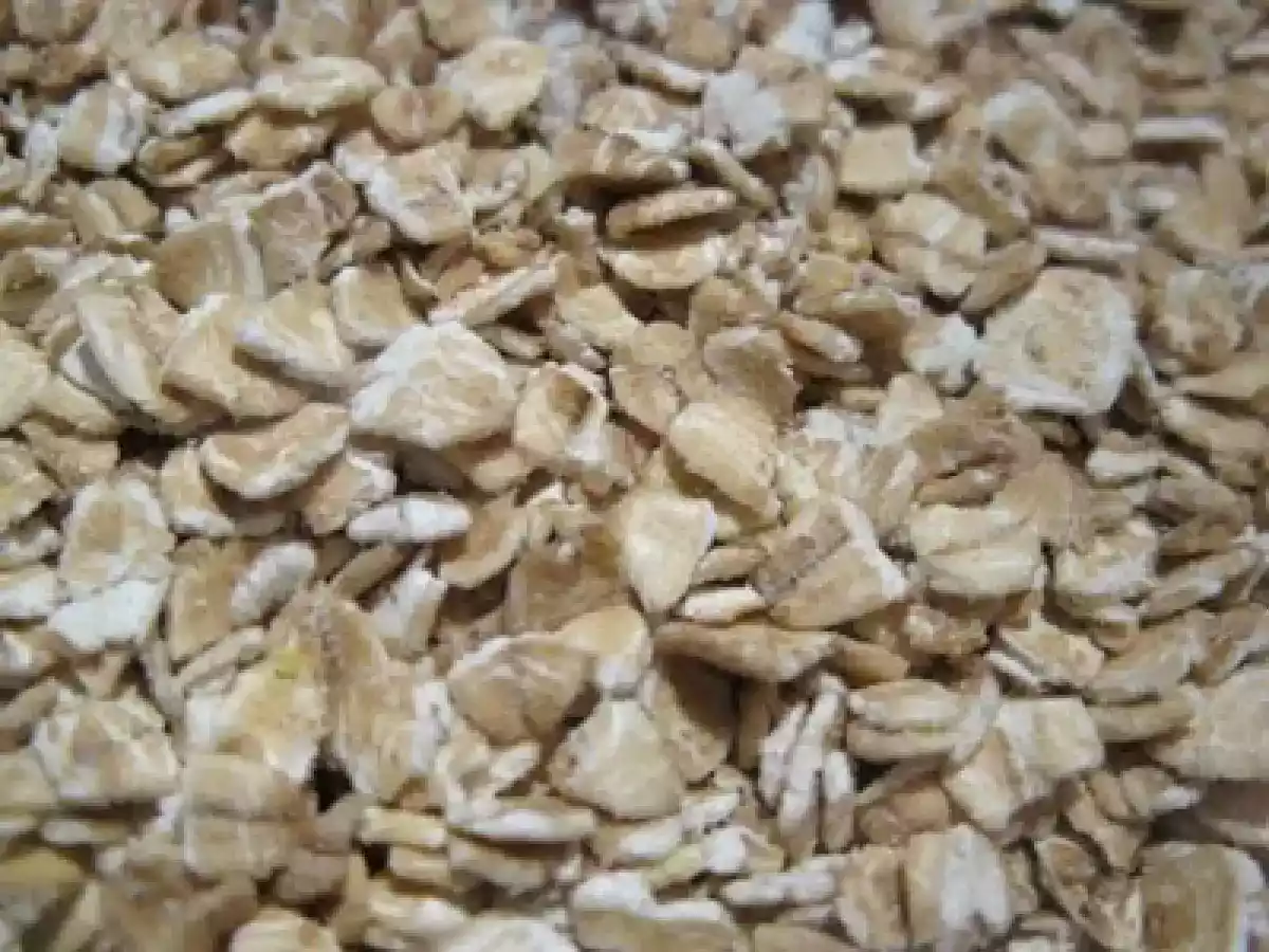 Rotolo di fiocchi d'avena affumicato alle verdure - foto 8