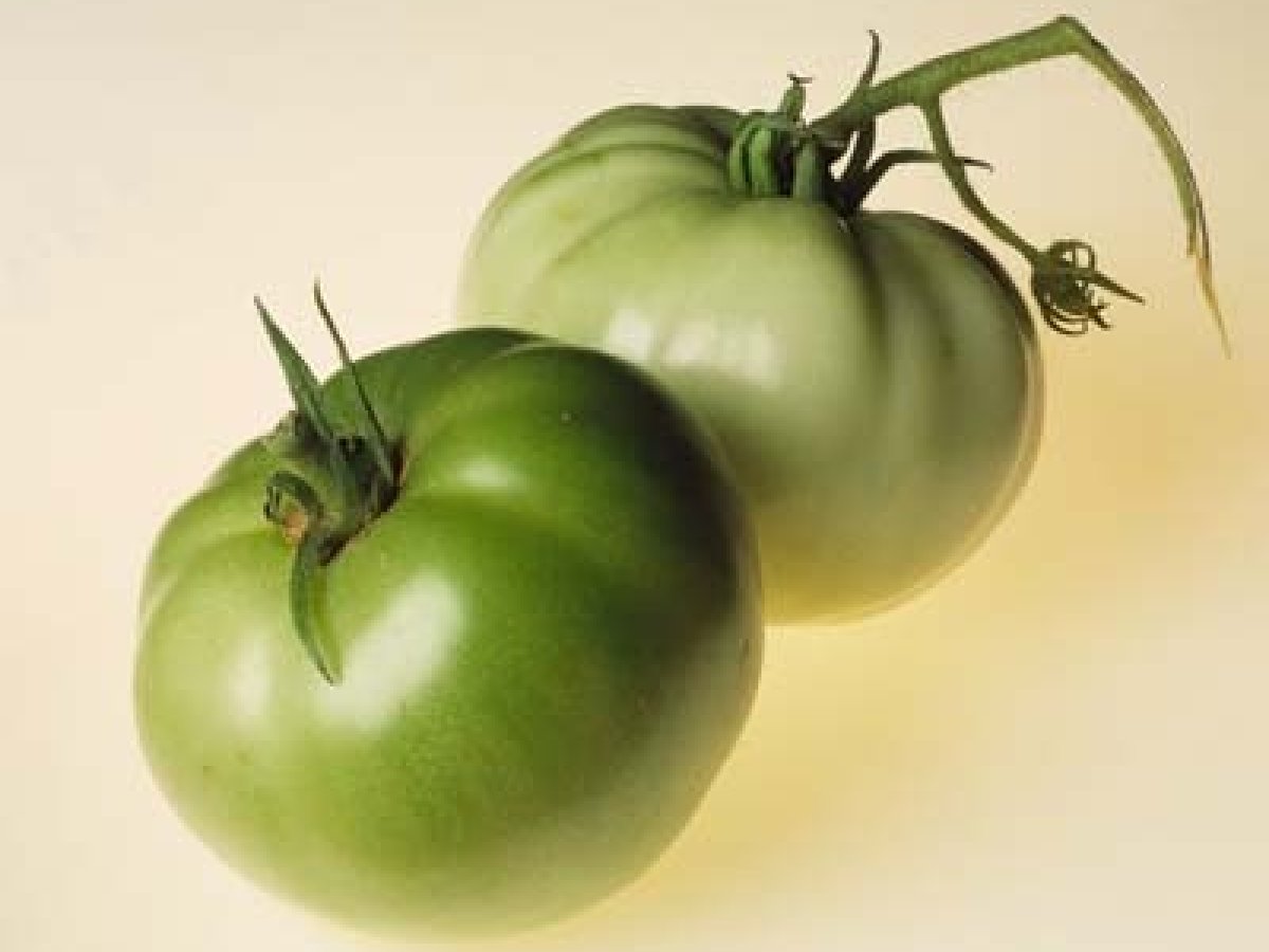 Salsa di pomodoro verdi..