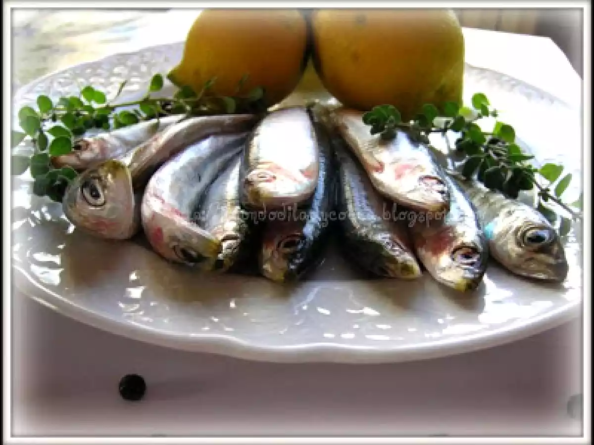 SARDINE FRITTE DELL'AGENTE IMMOBILIARE SU LETTO DI LATTUGA ROMANA - foto 2