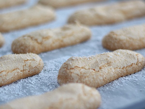 Savoiardi fatti in casa - Ricetta Facile Savoiardi fatti in casa - Ricetta Facile