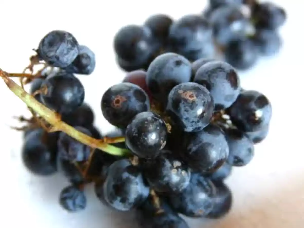 Schiacciata con l'uva...o come si dice a Firenze...la stiacciata coll'uva - foto 3