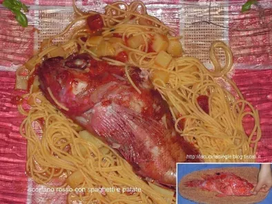 Scorfano rosso con spaghetti e patate - foto 2