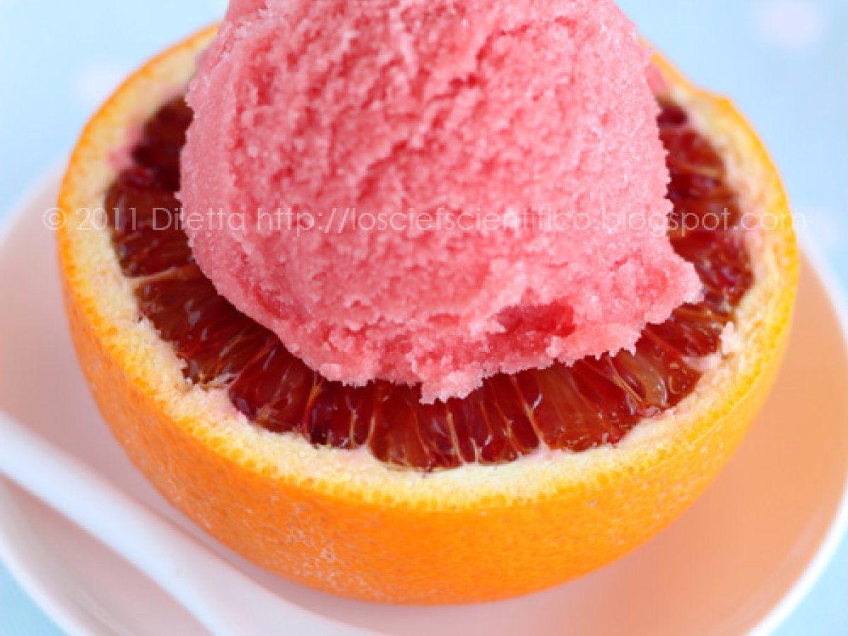 Sorbetto alla Arancia Rossa e Zenzero