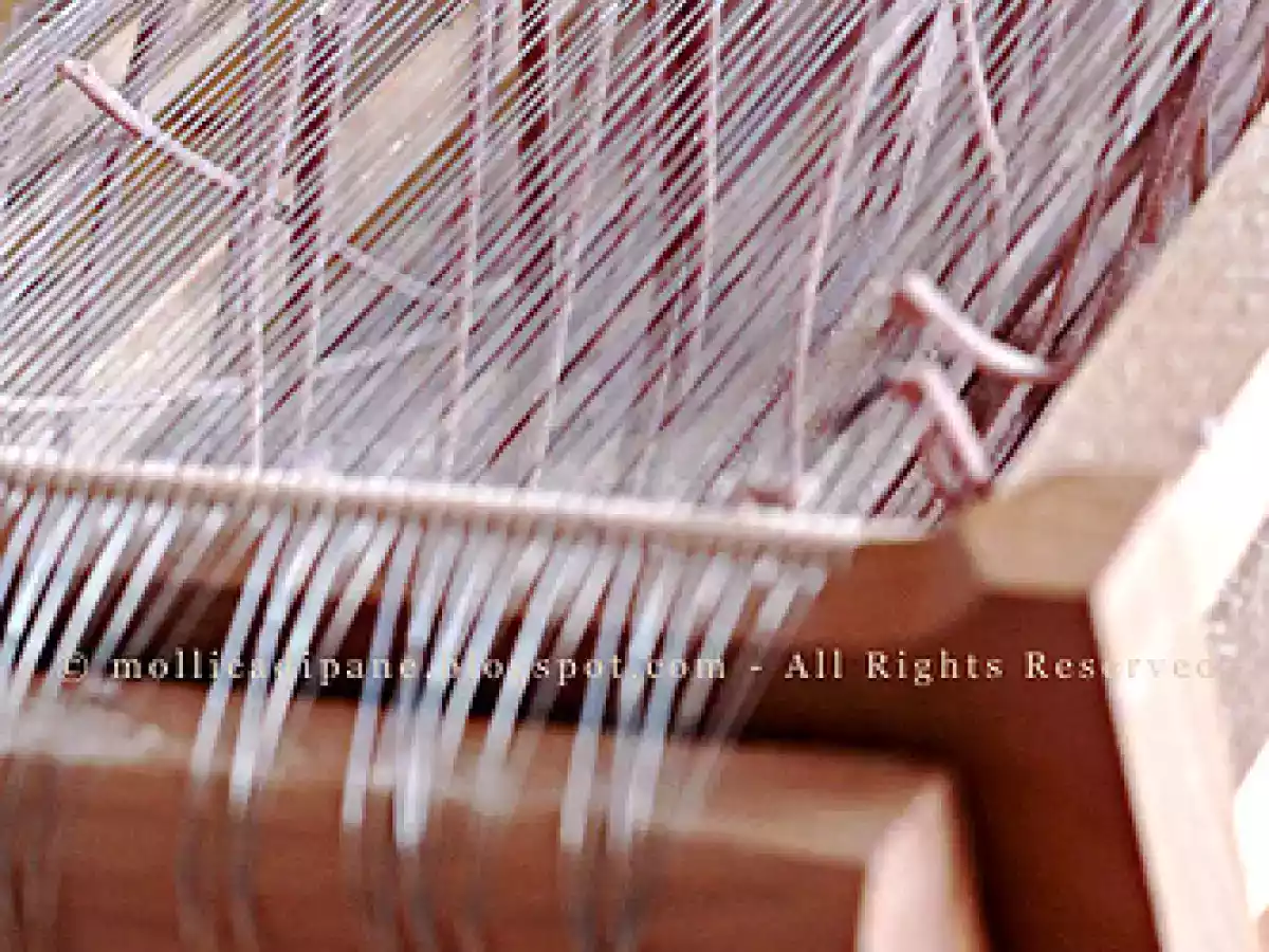 Spaghetti alla chitarra al Primitivo di Manduria - foto 3