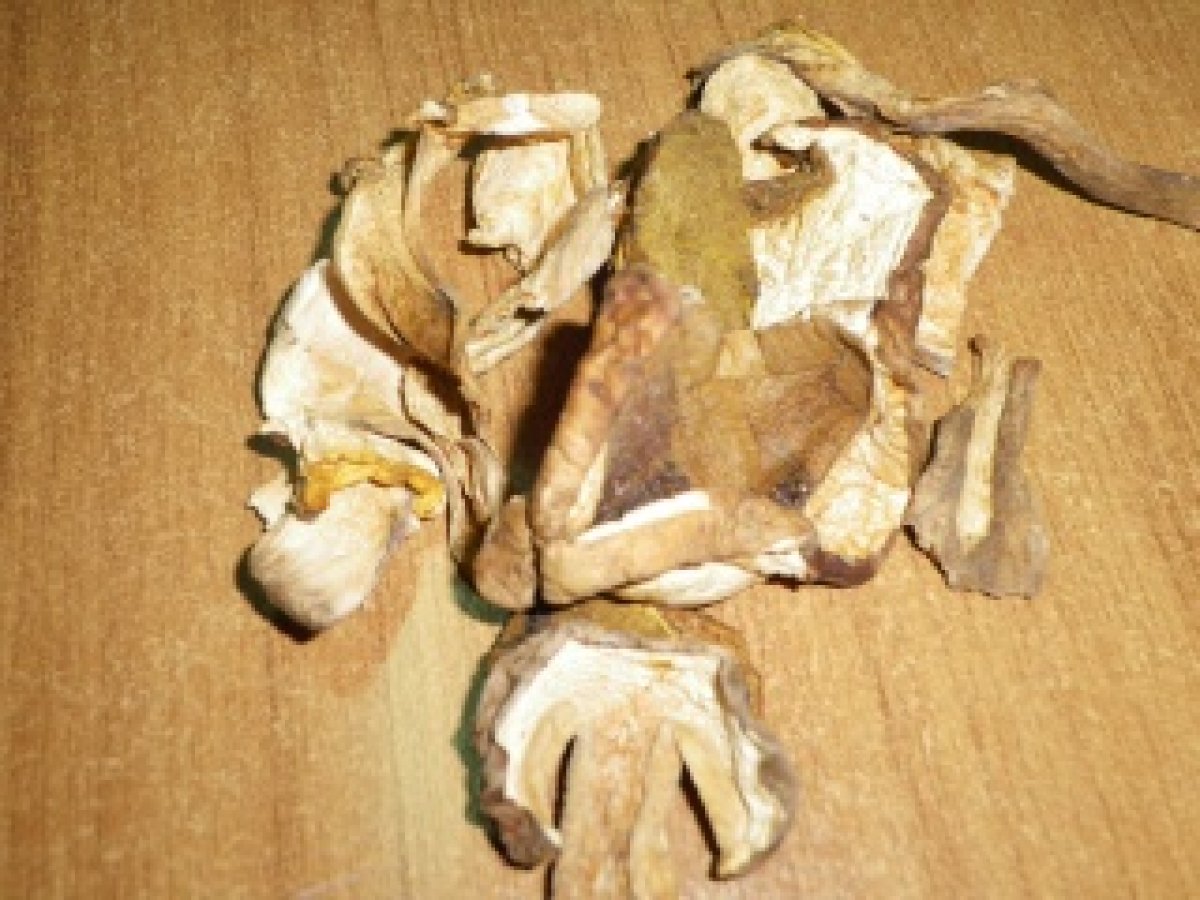 TAGLIATELLE AI FUNGHI CON SALSICCIA RADICCHIO E NOCI, foto 18