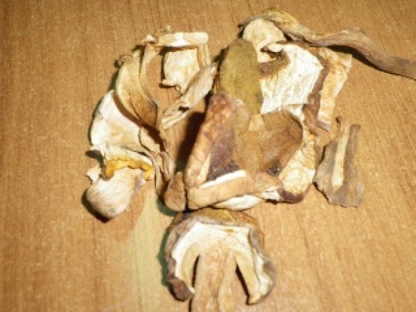 TAGLIATELLE AI FUNGHI CON SALSICCIA RADICCHIO E NOCI, foto 18