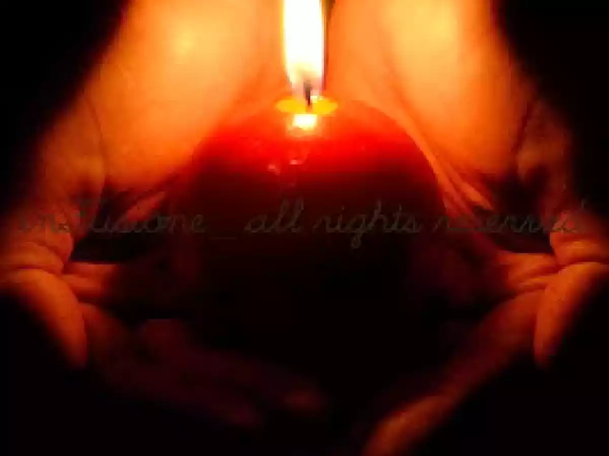 Tartufini di fette biscottate - foto 2