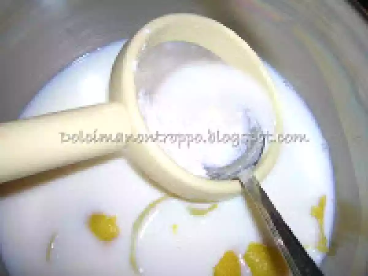 TESTA O' TURCO (Ovvero TORTA AL LATTE) - foto 7