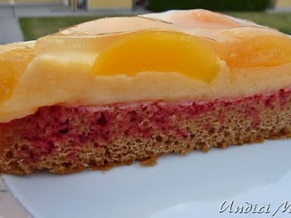 Torta al cacao con crema pasticcera e albicocche, foto 2