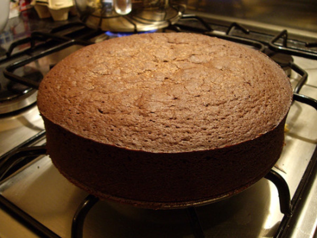 Torta al caffè e scaglie di cioccolato